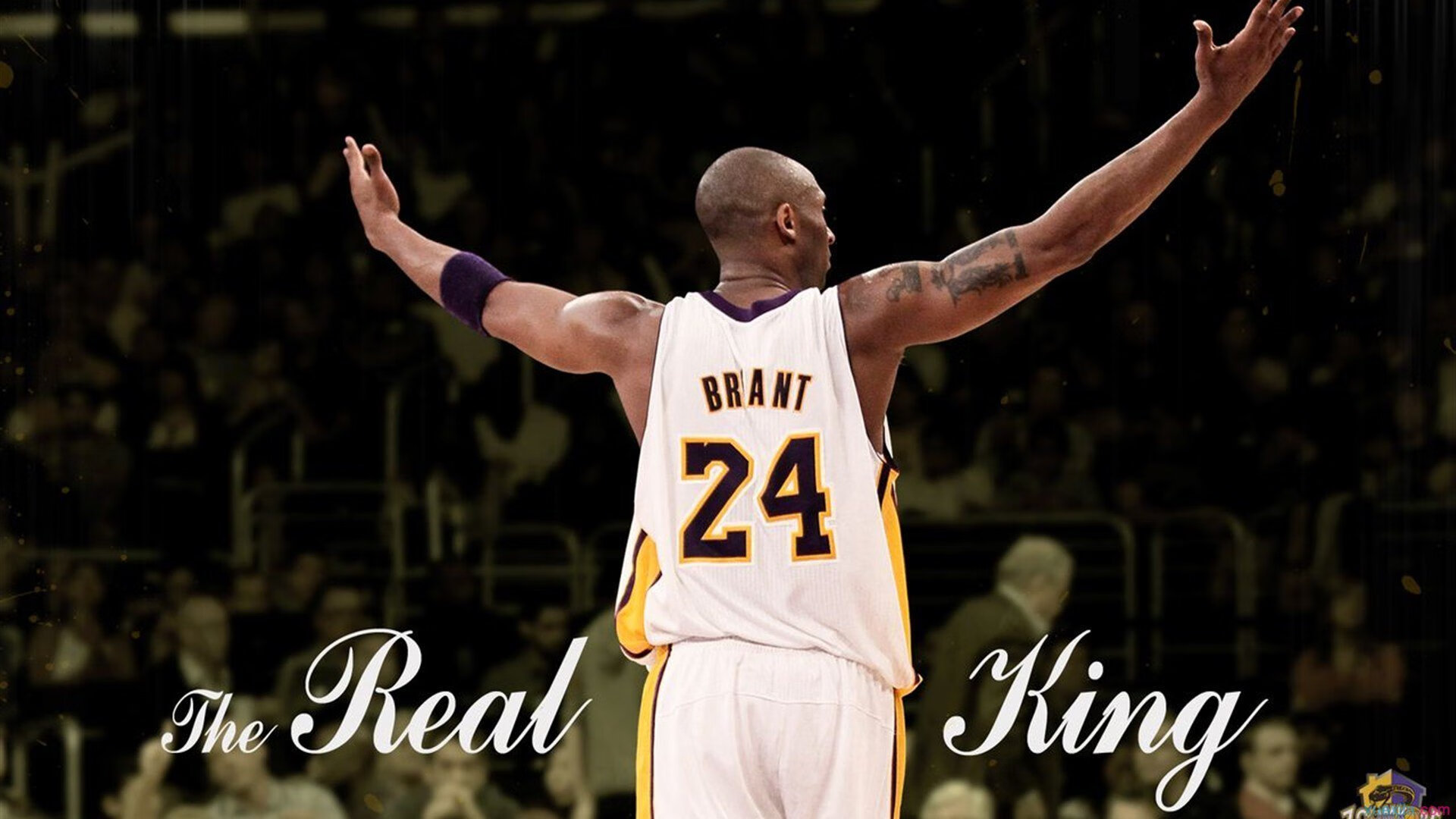 他不是征服温网，他本身就是一种唯一，当纳达尔的燃烧，让所有赛场重分胜负